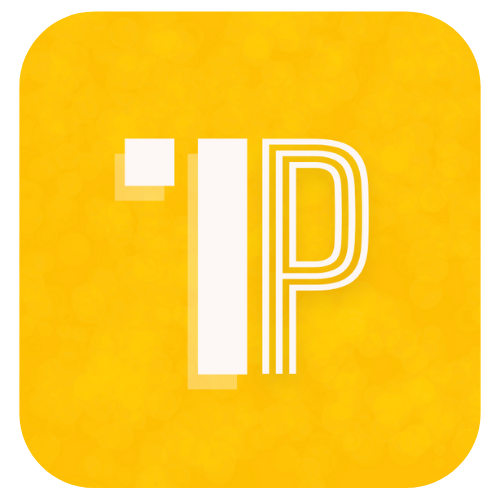 1Pieces Concept